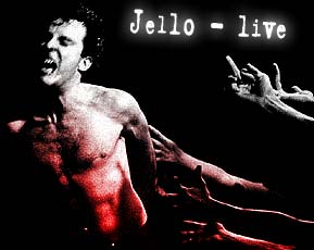 Jello - live in the DK days